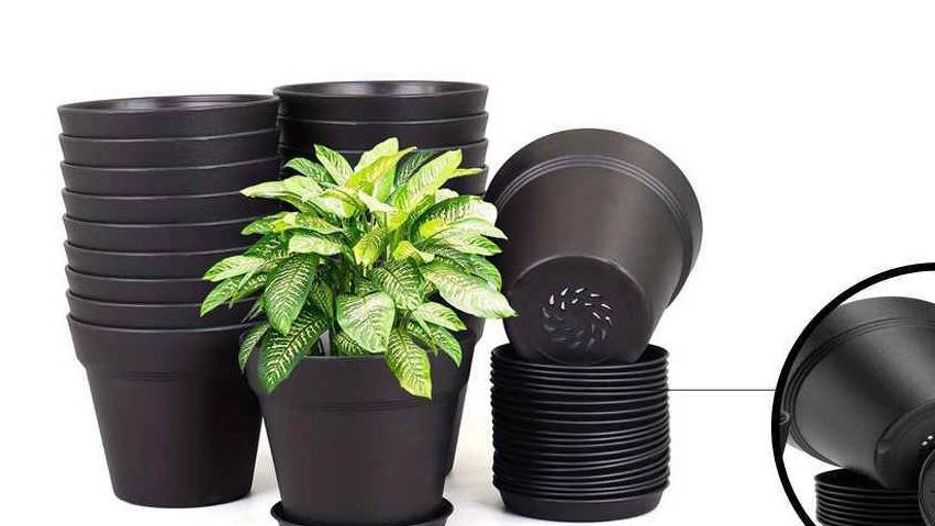 انتخاب گلدان مناسب برای گلخانه ها انتخاب گلدان مناسب برای گلخانه ها